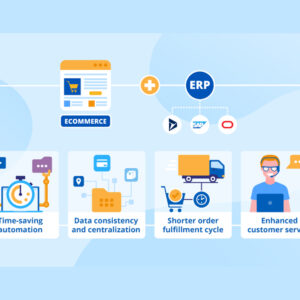 The Business City Website Apps Digital Ads Team - eCommerce and ERP Integration