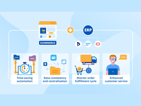The Business City Website Apps Digital Ads Team - eCommerce and ERP Integration