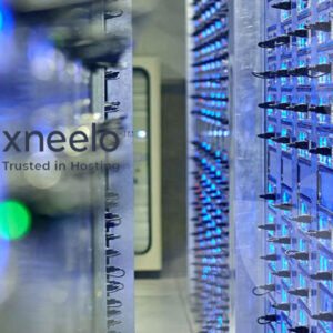 The Business City Website and SEO Team Website Backup