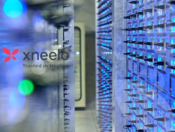The Business City Website and SEO Team Website Backup