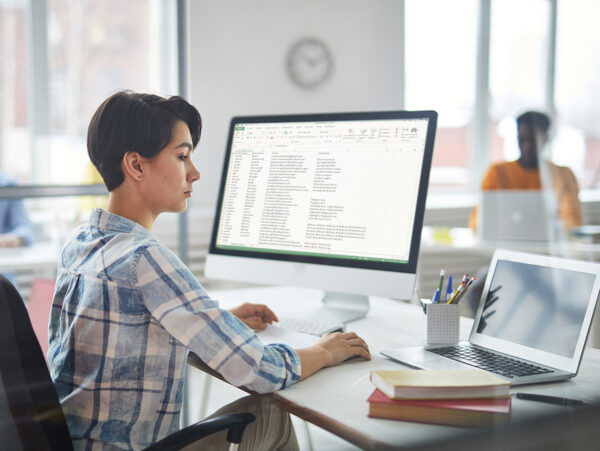 The Business City Social Media and Mailer Marketing Team - Database spreadsheet cleanup and upload